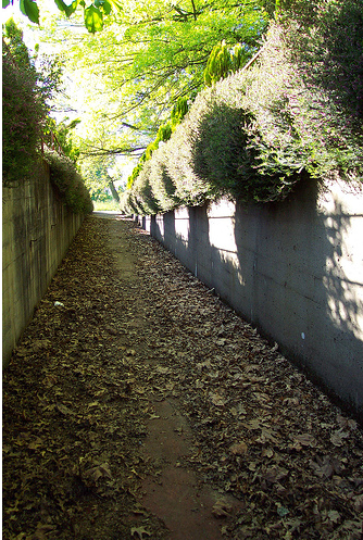Dammasch State Hospital Oregon